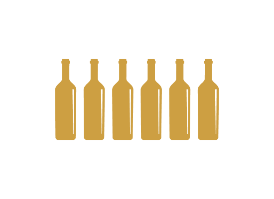 6 bottles icon