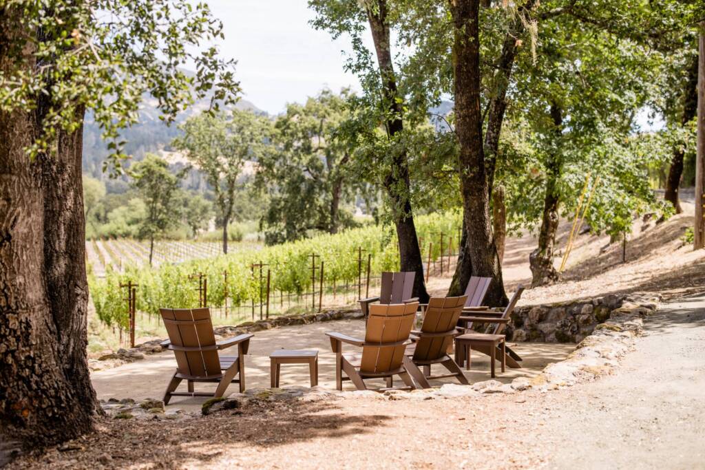 Adirondack chairs facing the vineyard, in the shade of tall trees