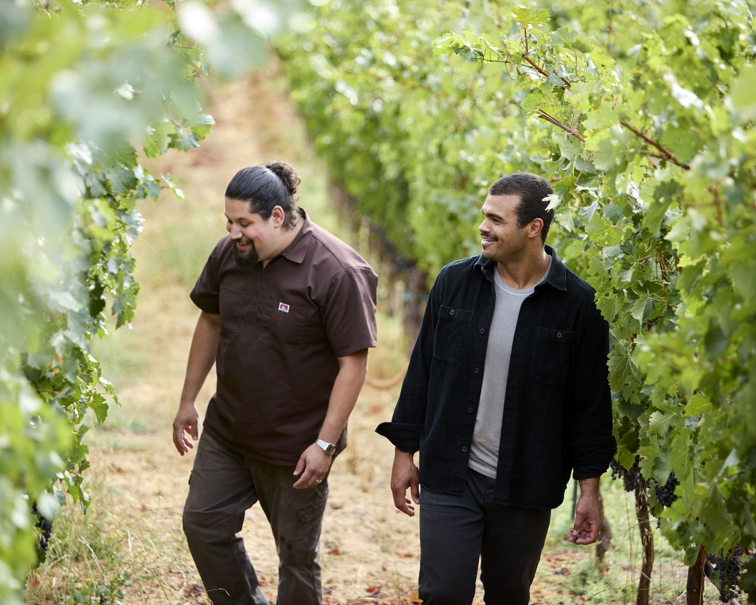 Rafael Gonzalez and Derek Baljeu in the vineyard.