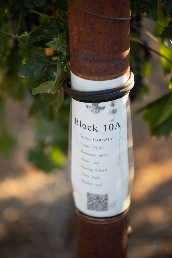 Block 10 end post showing Cabernet Sauvignon clone and rootstock.